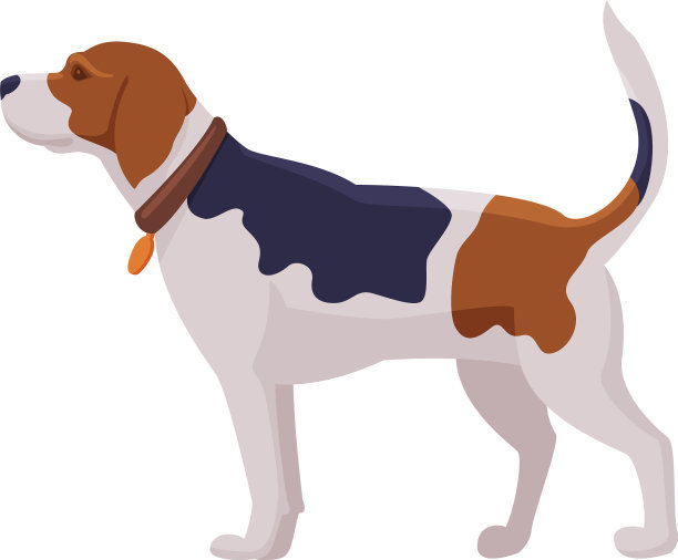 猎犬嗅觉猎犬品种平坦图片下载