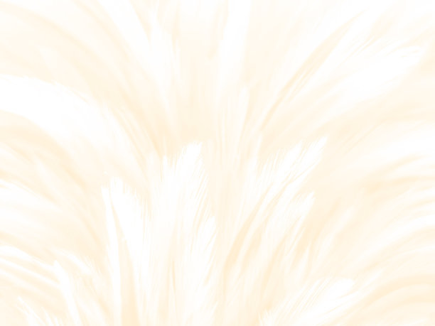 美丽抽象的白色和棕色羽毛上的白色背景和柔软的黄色羽毛纹理上的白色图案和黄色背景，羽毛背景，金色羽毛横幅，棕色纹理图片下载