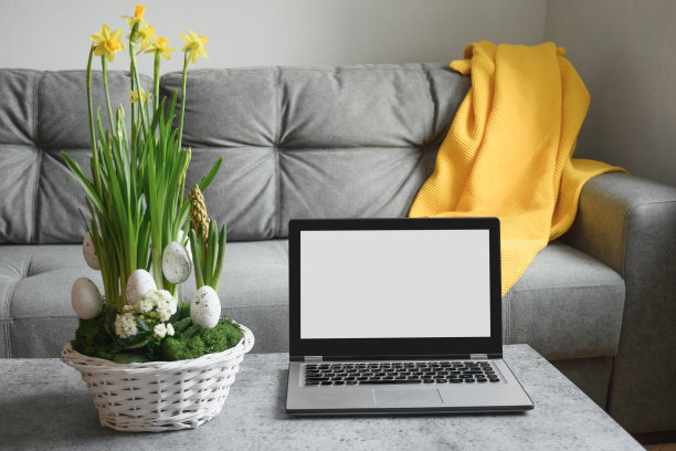 客厅的家庭内部配备笔记本电脑。网上复活节在家观看服务。图片下载