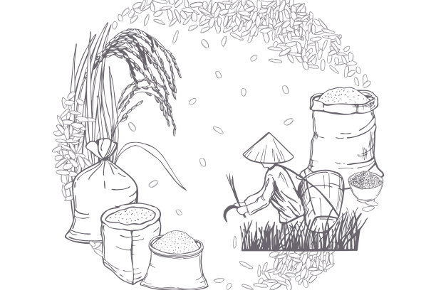 手绘米具图片下载