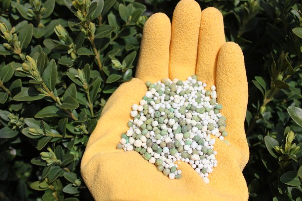 箱内肥料用一只手放在箱内前面图片下载