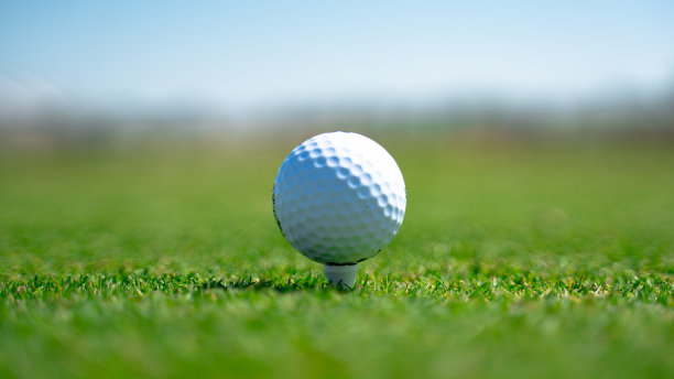 高尔夫球座上高尔夫球的特写图片下载