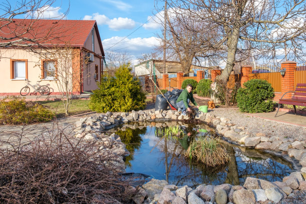 男子用手清理跪着的鱼塘，清除水草和落叶图片下载