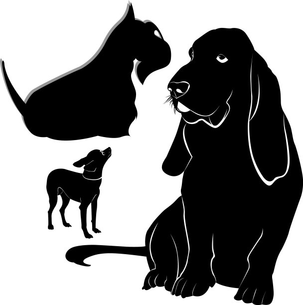 巴吉度犬，吉娃娃，苏格兰梗图片下载