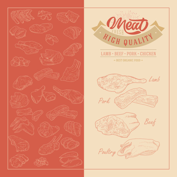 鲜肉广告宣传册模板图片下载