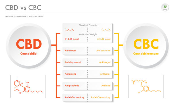 CBD vs CBC，大麻二酚vs大麻酚水平商业信息图图片下载