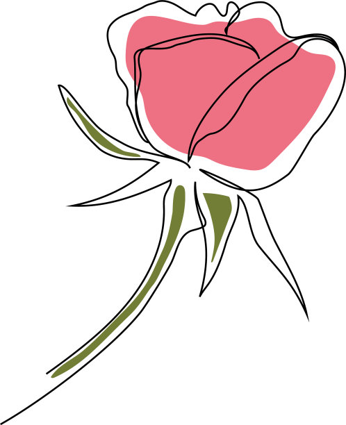 玫瑰花单线画-极简主义艺术图片下载