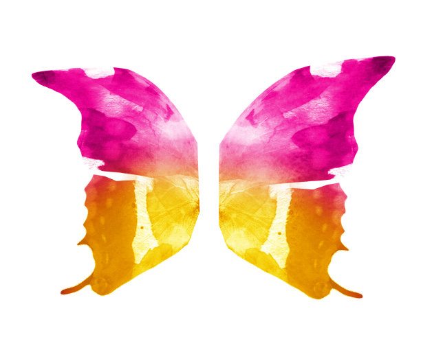 水彩蝴蝶的翅膀，孤立在白色图片下载