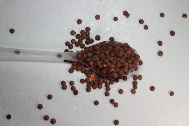 香料在白色背景与复制空间图片下载