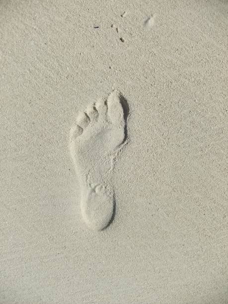 足迹图片下载