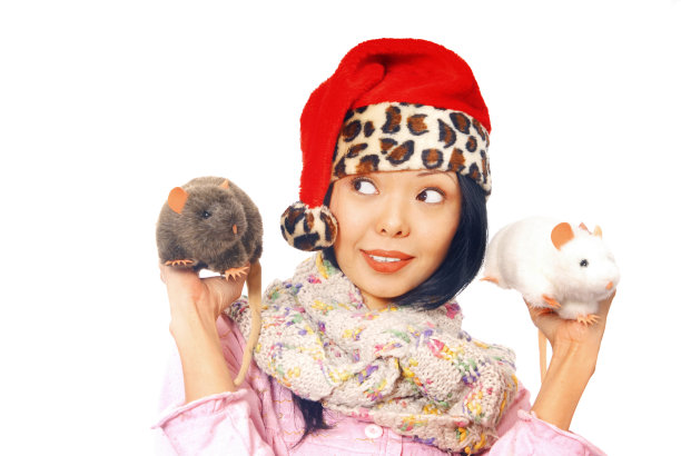 戴着红色圣诞老人帽的女人，在白色背景下抱着两只老鼠图片下载