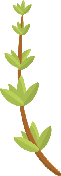 百里香为食物图标卡通风格图片下载