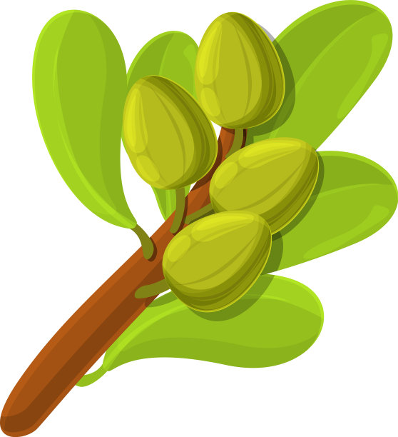 牛油果树枝图标卡通风格图片下载