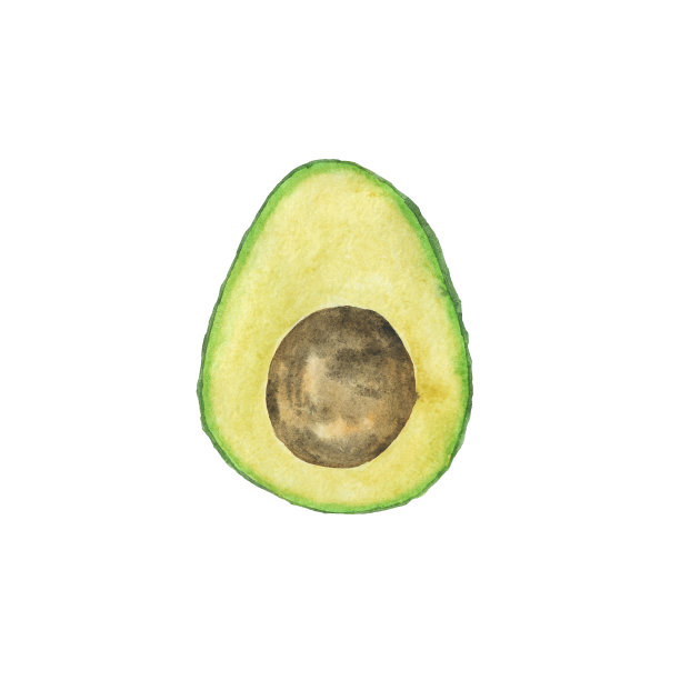 在白色背景上有种子的一半鳄梨。水彩手绘插图。用于菜单设计或打印的健康食品。图片下载