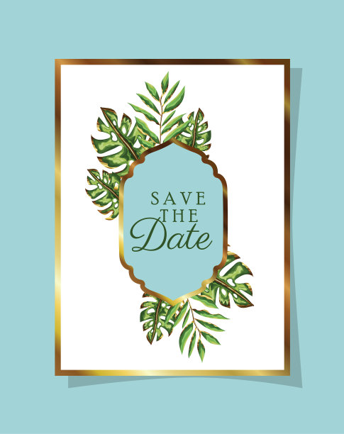 叶子邀请白色与绿色的叶子图片下载