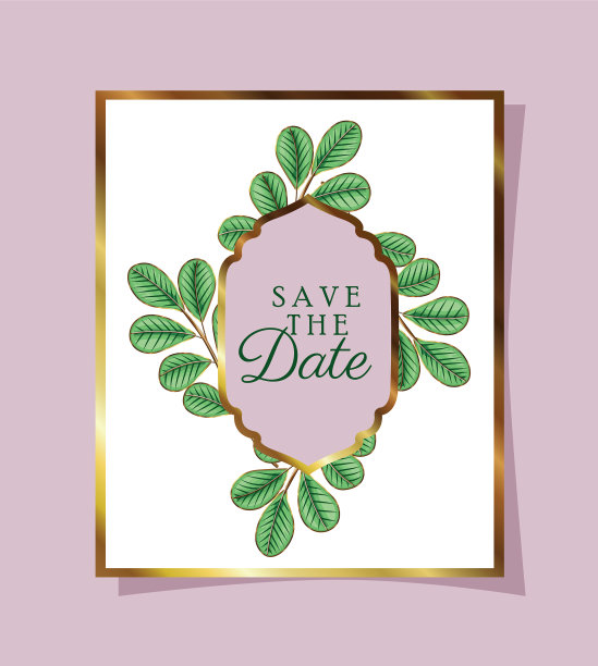 叶子邀请白色与绿色的叶子图片下载