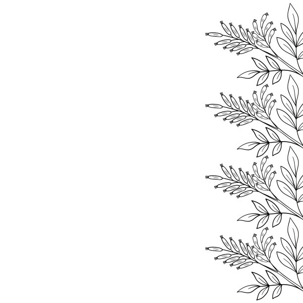 苦味示、帧边界图片下载