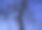 天空映衬下树的轮廓。图片下载