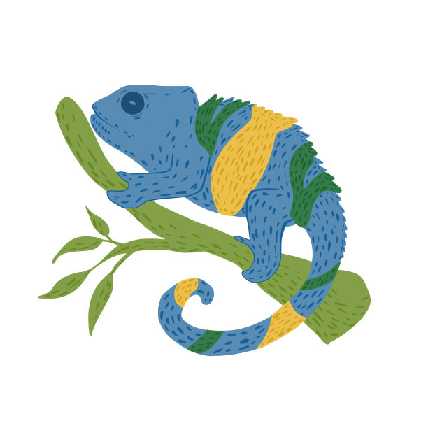 变色龙在绿枝上孤立在白枝上图片下载