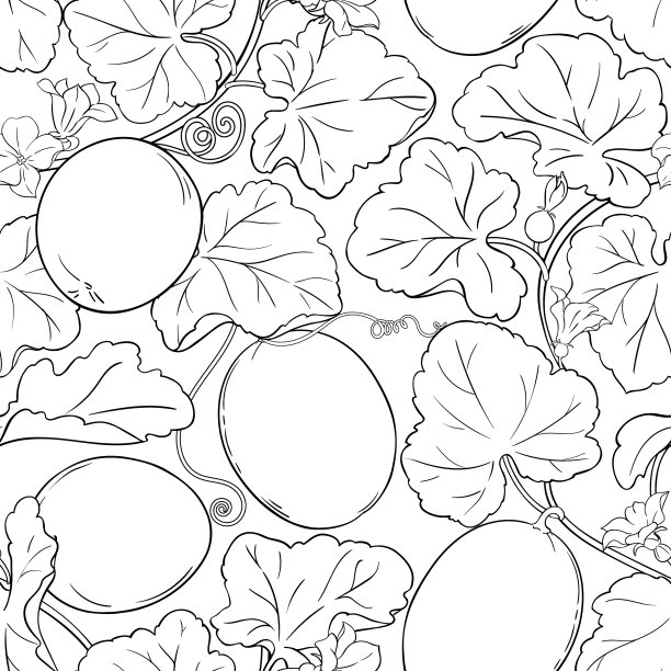 瓜模式图片下载