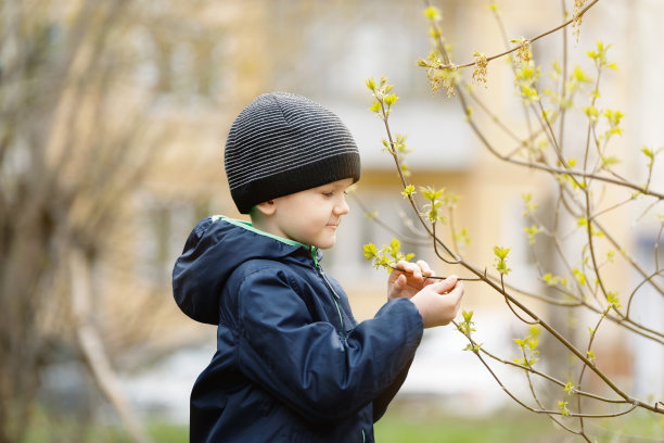 可爱的男孩小心翼翼地拿着有嫩枝的树枝图片下载