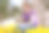 微笑的成熟女子在她的智能手机上展示黄色水仙花的照片图片下载