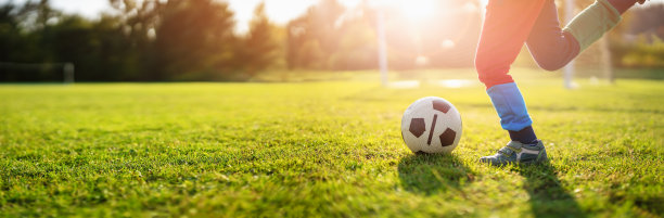 孩子们在有大门的操场上踢足球。图片下载