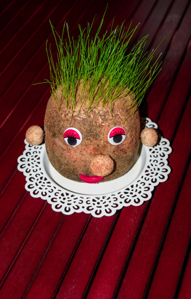 有趣的草头在桌子上图片下载