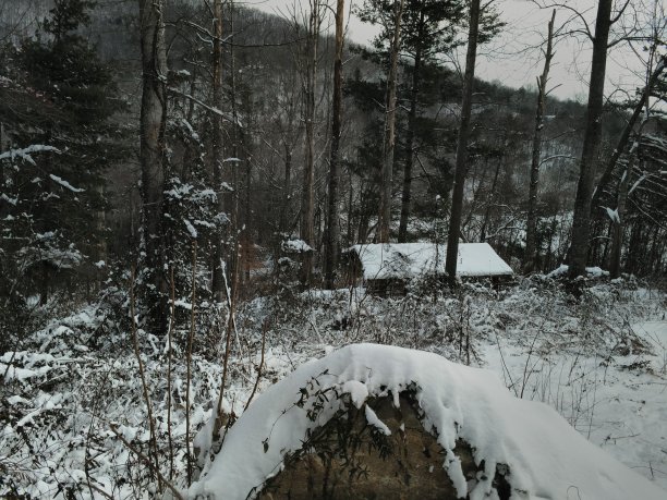 冬季的一天图片下载