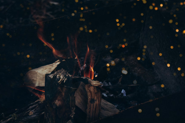 篝火的火焰。在烤架上燃烧木柴图片下载