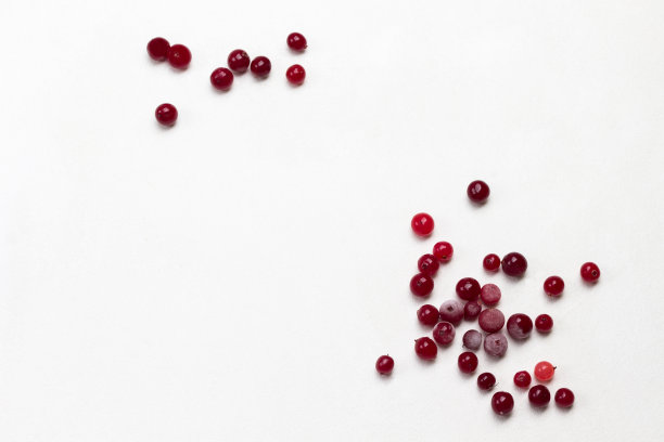 小红莓冻结。白色背景。平的。图片下载