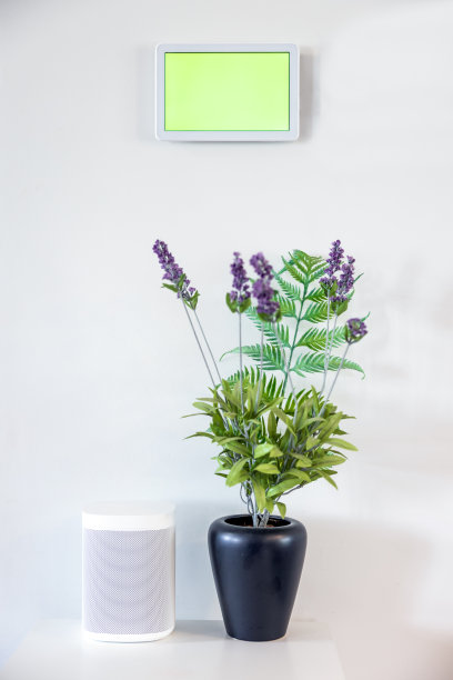 数字平板电脑上的家庭自动化(绿屏/色度键)图片下载