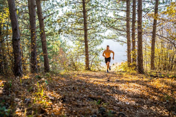 在树林里慢跑图片下载