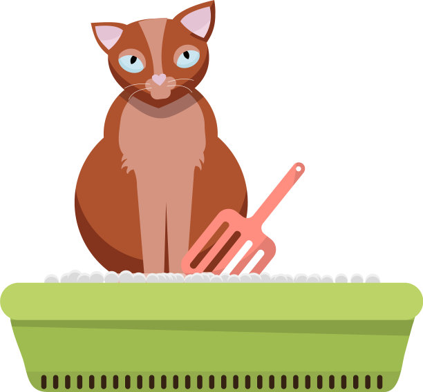 猫坐在猫砂盒剪贴图像凯蒂图片下载