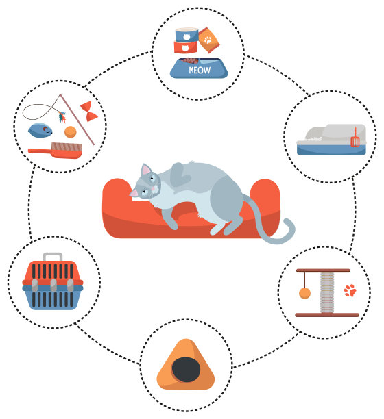 圆形信息图宠物护理用品设置元素图片下载