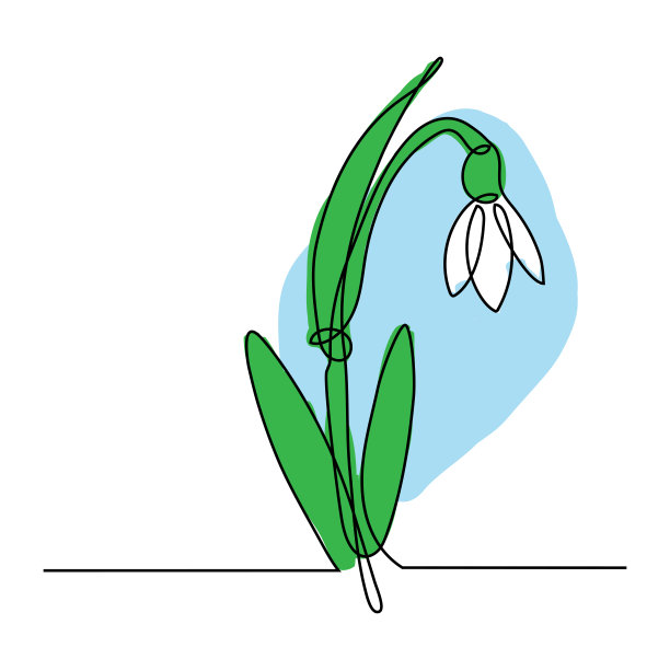 春天的雪花莲花在连续的线条与色彩图片下载