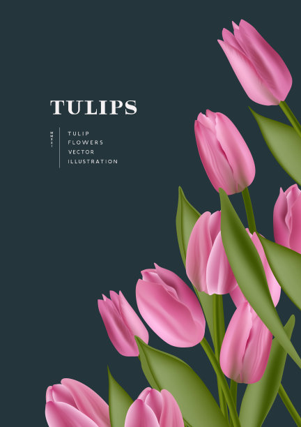 现实的郁金香花背景图案图片下载