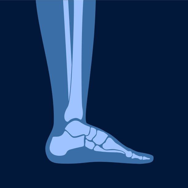 人的骨头的概念图片下载