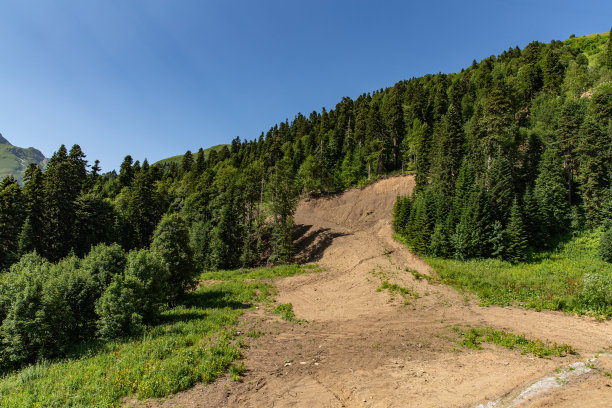在一个晴朗的夏日，森林小径在山上图片下载