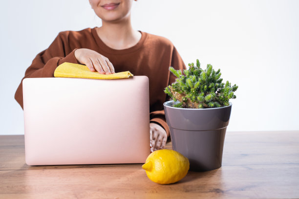 消毒的设备。这是一名美国女孩在家工作前为笔记本电脑消毒的照片。天然清洁产品与柠檬柑橘。新鲜空气,室内植物图片下载