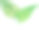 Monstera Peru或karstenianum plan图片下载