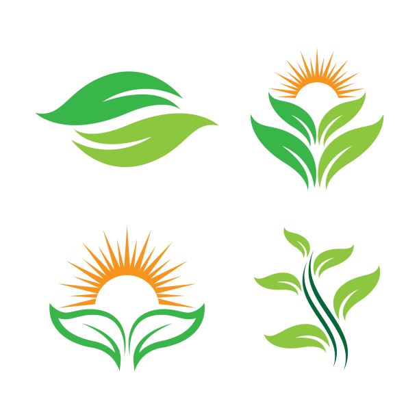 叶图像图片下载