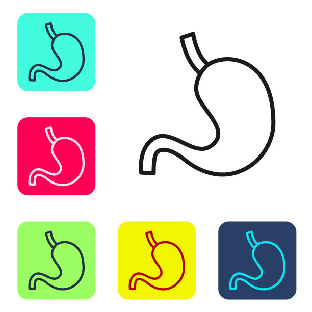 黑线人的胃图标孤立在白色背景上。设置图标的颜色方形按钮。向量图片下载