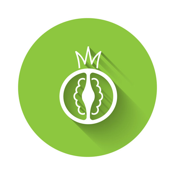 白色番茄图标孤立与长影子。绿色圆圈按钮。向量图片下载