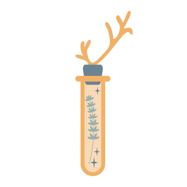 瓶子剪影与神奇的灵丹妙药或毒药与植物，角孤立在白色背景。图片下载