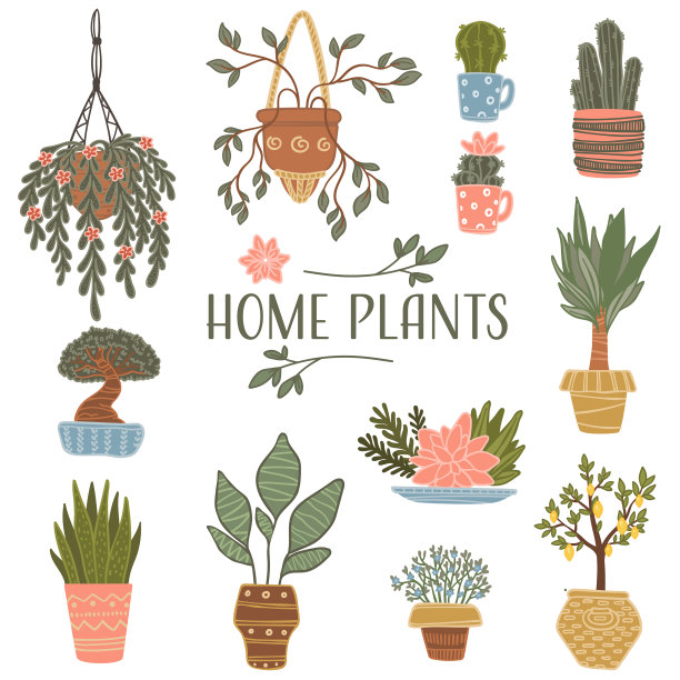 家栽盆栽开花植物图片下载