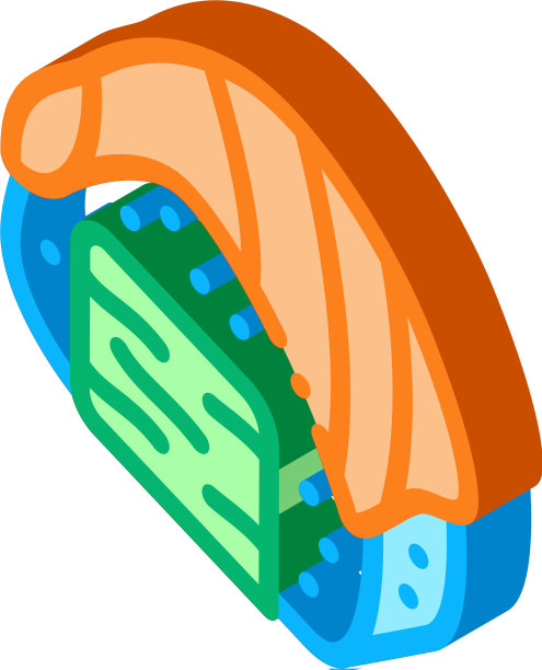 寿司卷与鲑鱼等距图标图片下载