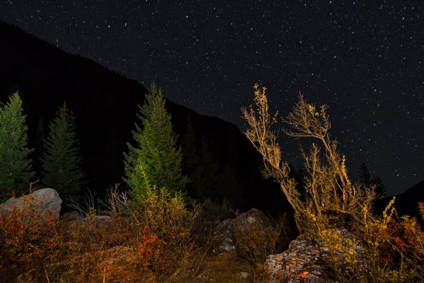 阿尔泰山无月之夜图片下载