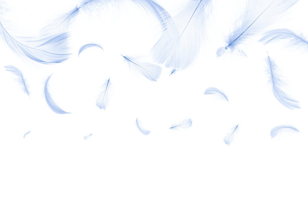 羽毛靠近。自然抽象鸟类羽毛纹理孤立在白色背景上的图案墙纸。流行色彩趋势春夏。图片下载