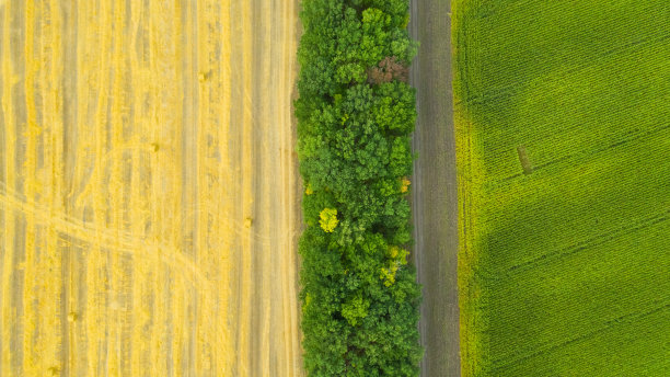 收获后用干草堆堆地。农村景观图片下载